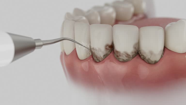 Reliable Dental contractor in Sandy Springs, SC by Dentist Open Now